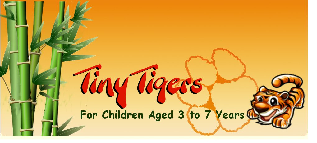 Tiny Tigers - Fun and Exercise for 3 to 5year olds!